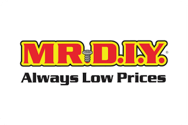 Mr. DIY