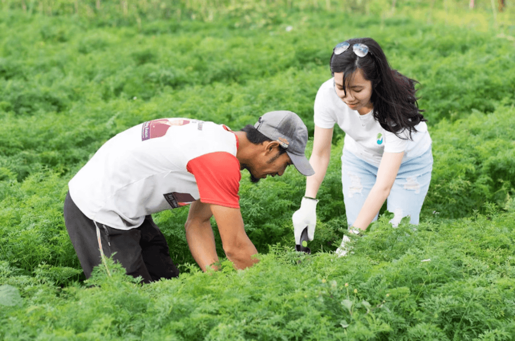 Lark Acelera a Missão da EdenFarm de Levar Produtos Frescos da Fazenda aos Consumidores